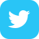 Twitter button - follow us